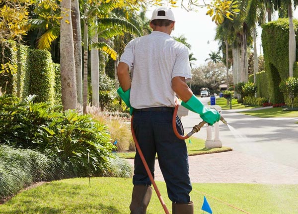 About Doylestown WI Pest Control